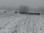 vid-20251210-wa0001-00124