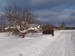 vid_20260202_150123-00046