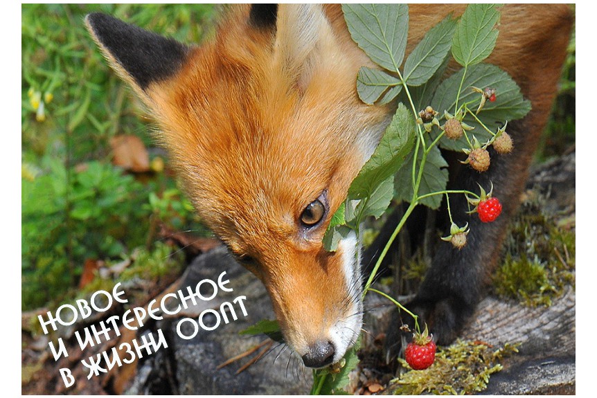 www.poozerie
