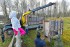 к нашим зубрам приехали родственники - фото - 2