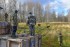 к нашим зубрам приехали родственники - фото - 4