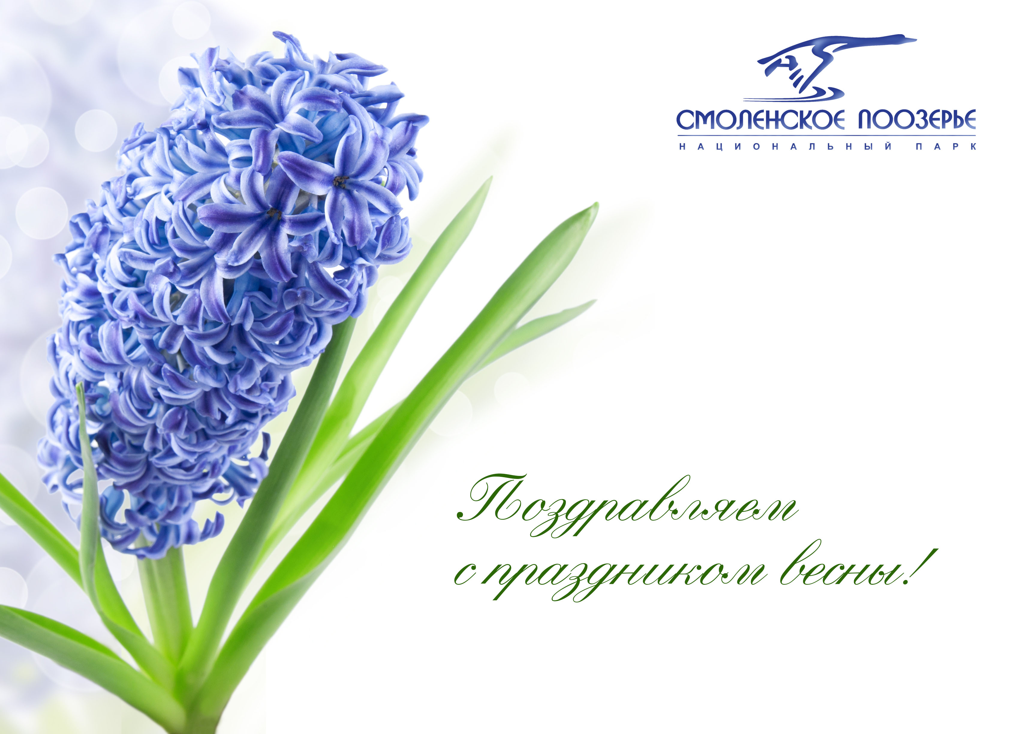 С 8 Марта!