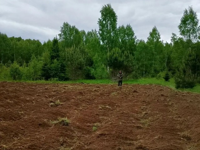 Посев кормового поля, Петровская лесная дача.