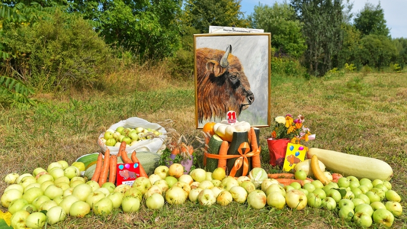 Приглашаем на день рождения зубра Ярика!