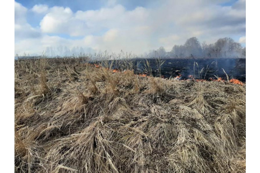 В Смоленском Поозерье пойманы поджигатели сухой травы.