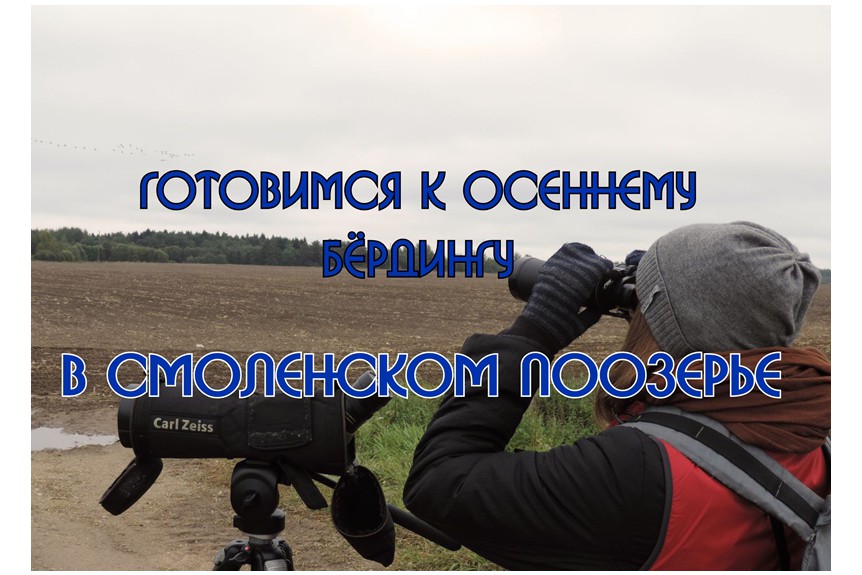 Готовимся к осеннему бёрдингу в Смоленском Поозерье.