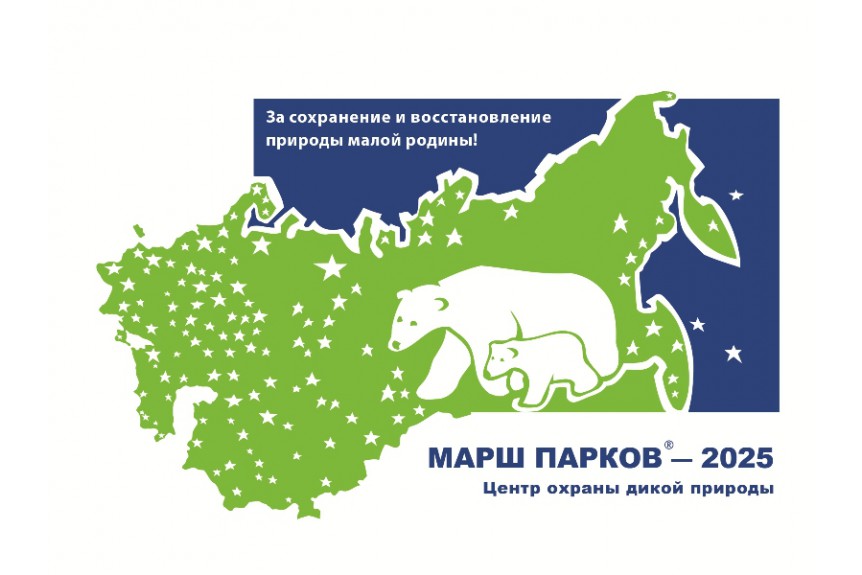 Подведены итоги детского художественного конкурса рисунков на тему "Природа моей малой родины", объявленного в рамках природоохранной акции "Марш парков-2025"