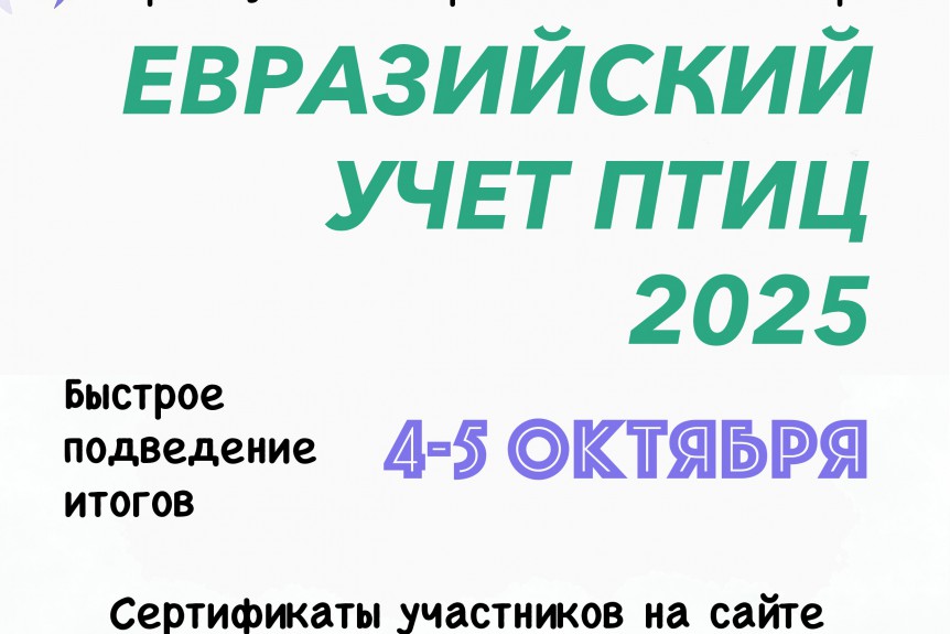 4-5 октября 2025 года в России пройдет традиционная акция научного волонтерства «Евразийский учёт птиц»!