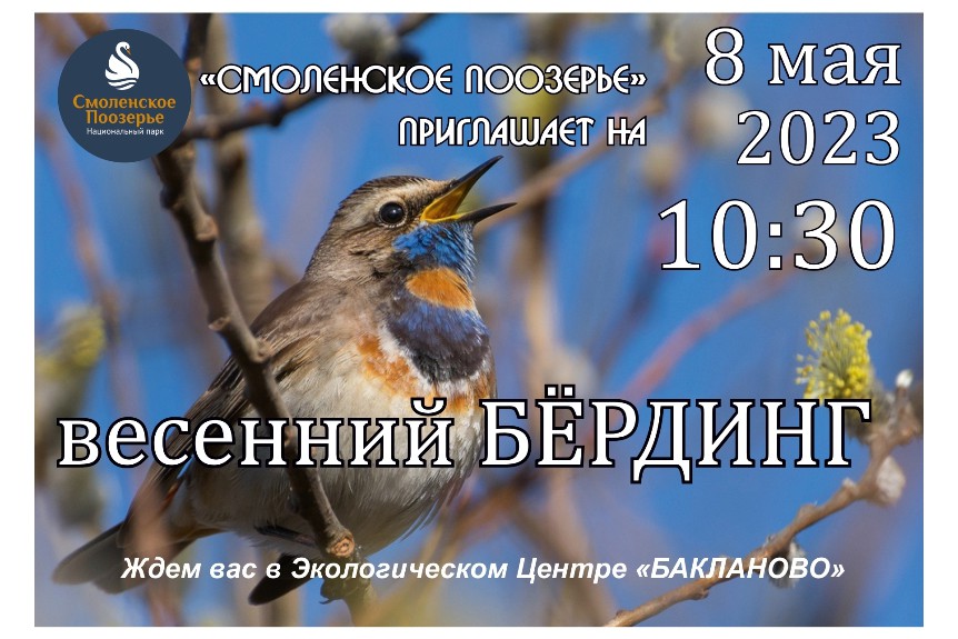 Национальный парк «Смоленское Поозерье» приглашает 8 мая на весенние соревнования по спортивной орнитологии.