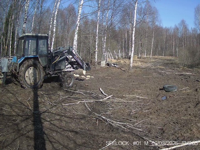 Работа фотоловушки на территории карантинного вольера в ур. Шевелёво, Гласковская лесная дача в период с 9 по 15 марта 2025 года: зубры приходят уже реже.