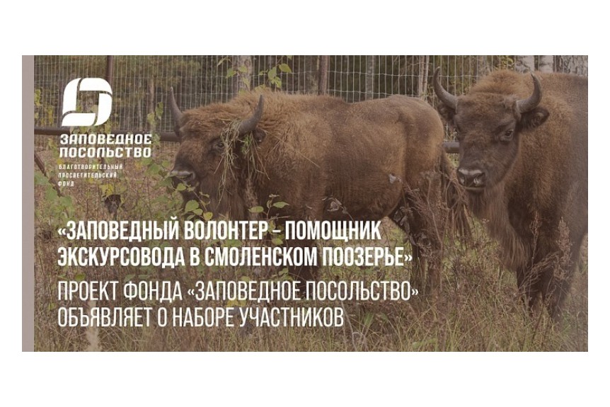 «Заповедный волонтер – помощник экскурсовода в Смоленском Поозерье»: проект фонда «Заповедное посольство» объявляет о наборе участников.