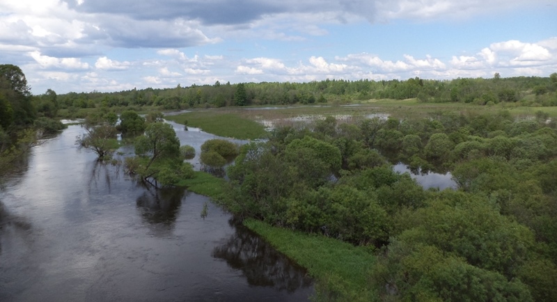 Резкий подъем уровня воды зафиксирован в Смоленском Поозерье
