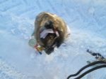 Соглашение о взаимодействии и сотрудничестве