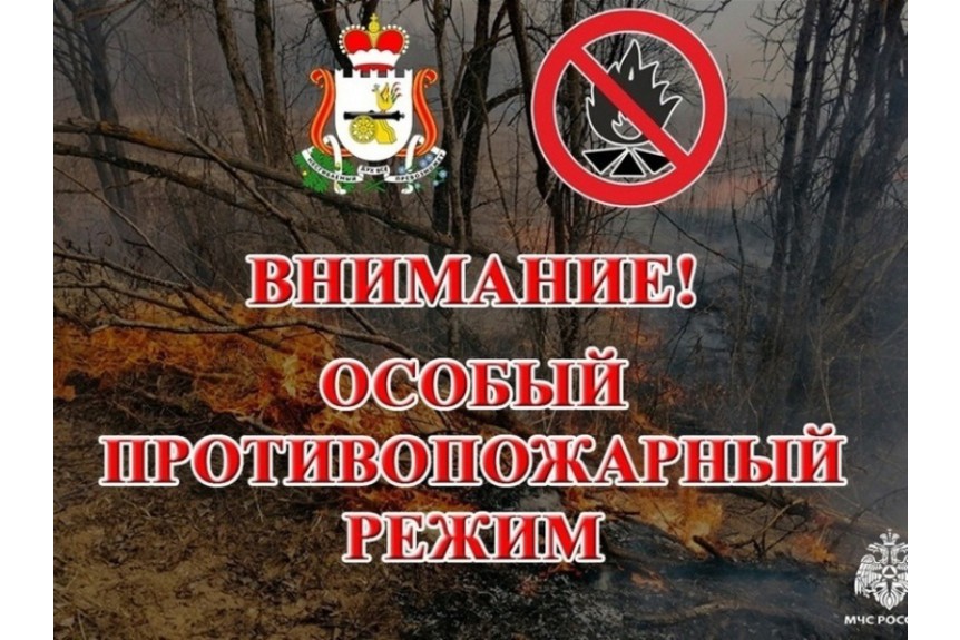 ВНИМАНИЕ!!! В Смоленской области сохраняется жаркая и сухая погода, велик риск возникновения природных пожаров.