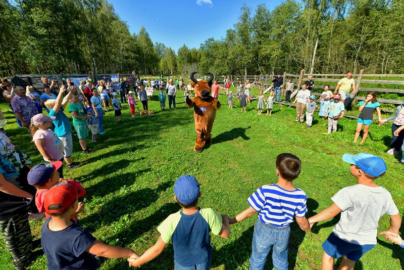 День рождения Зубра