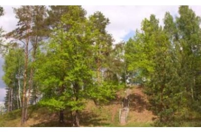 место древнего городища V - I в. до н.э. на территории ЭЦ "Бакланово"