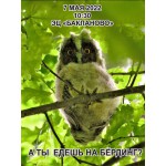 Весенний бёрдинг уже на этой неделе!