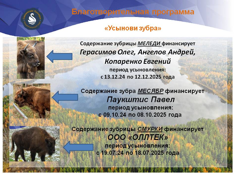 Благотворительная программа «Усынови зубра»