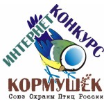 Десятый интернет-конкурс кормушек