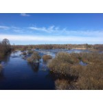 На этой неделе мы наблюдали пик половодья