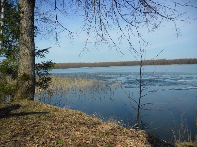 Освобождение водоемов от ледяного покрова