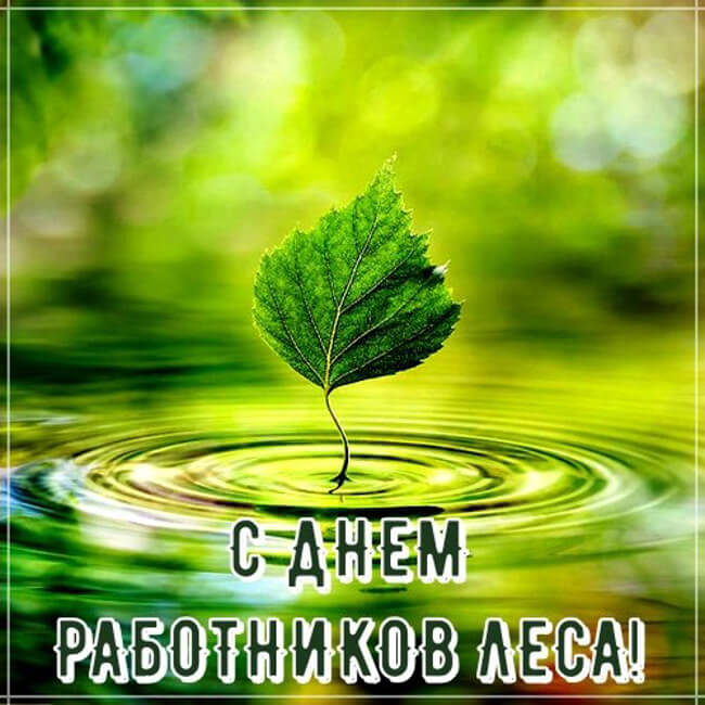 С Днём работников леса и лесоперерабатывающей промышленности!