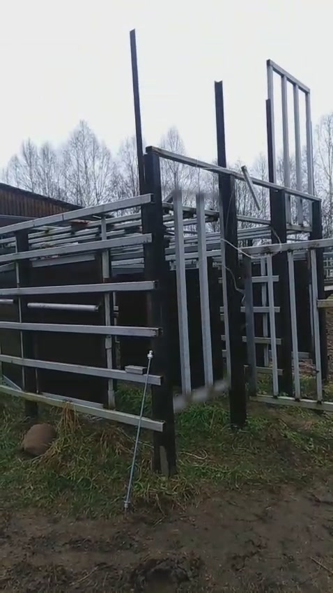 Обустроены отловные системы для зубров на подкормочной площадке в ур. Раковка.