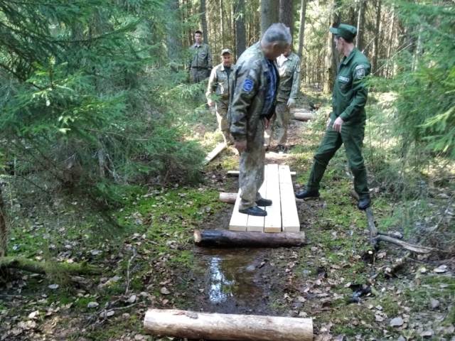 Распиловка и уборка ветровальных деревьев на оз. Чистик на экотропе «Вокруг озера Чистик», строительство настилов.