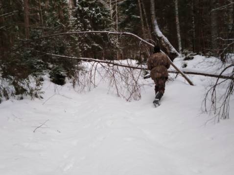 Расчистка дороги п. Пржевальское - д. Рибшево (до р. Уреча) от поваленных деревьев.