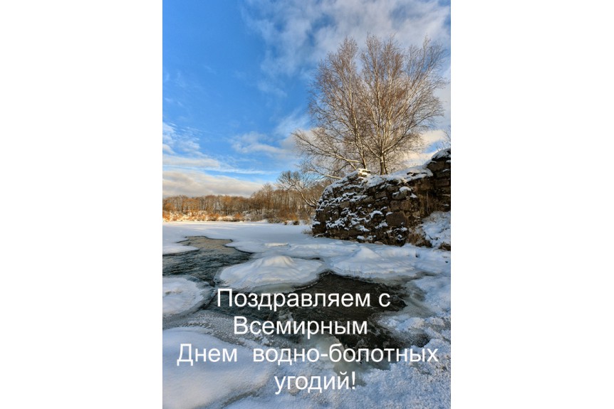 Поздравляем с Всемирным днём водно-болотных угодий!