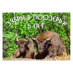 Внимание! Конкурс!