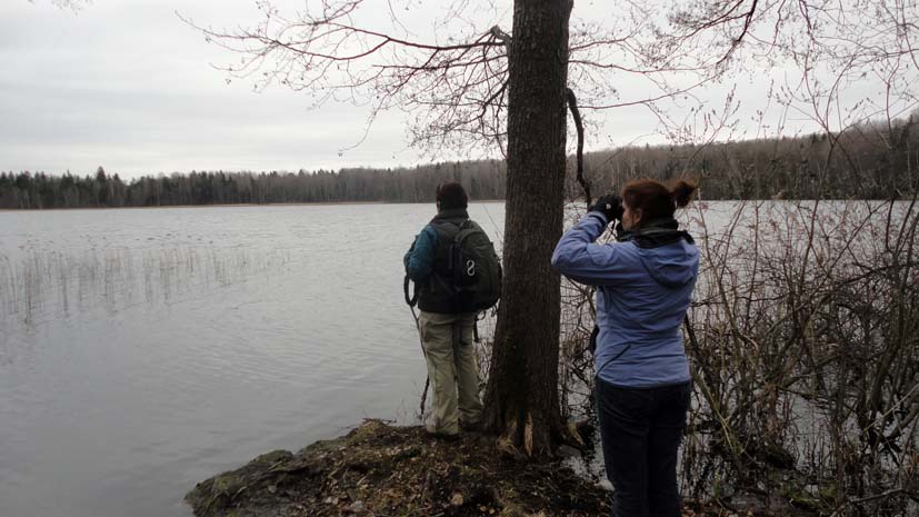 2 февраля Международный день водно-болотных угодий