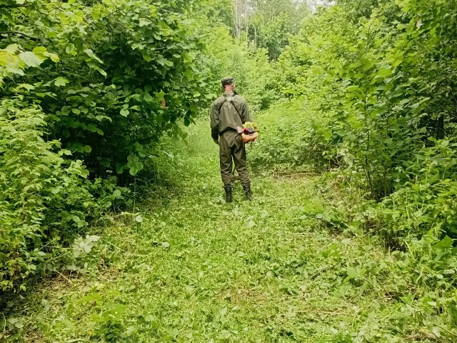 Окашивание и уборка ветровальных деревьев на туристическом маршруте "Вокруг озера Рытое" и веломаршруте.