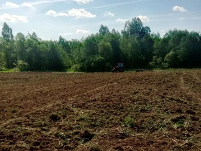 Посев кормового поля, Гласковская лесная дача.