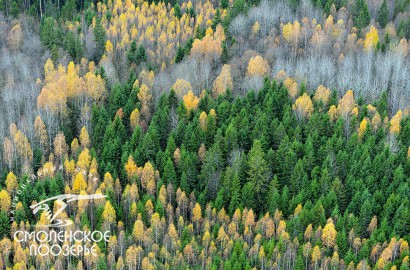 Осень. "Смоленское Поозерье".