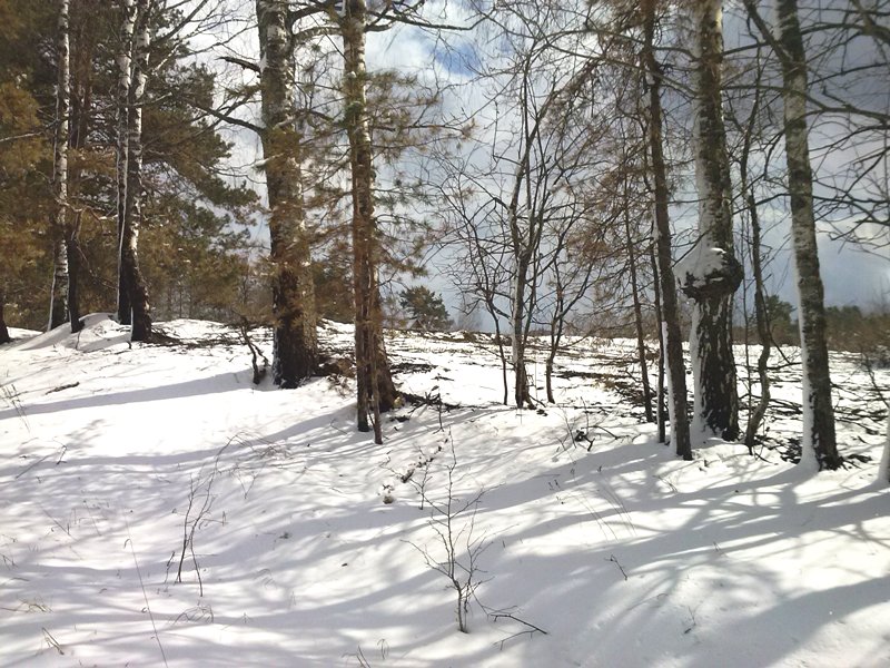 В «Смоленском Поозерье» опять зима (метель), минимальная температура -6,5°С