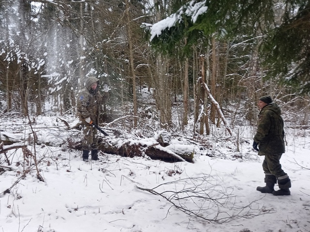 Расчистка веломаршрута от ветровальных деревьев, вокруг озёр Малое и Большое Стречное, Чистик, Рытое, около д. Кировка, д. Никитенки.