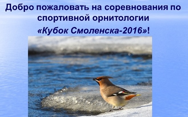 Кубок Смоленска по бёрдингу состоялся!