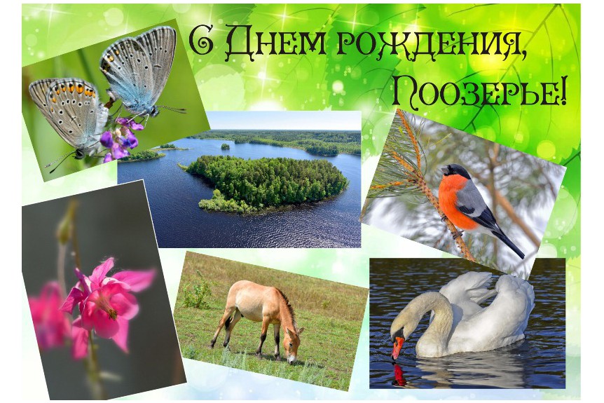 К сожаленью, День рожденья только раз в году…