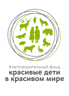 Получен новый грант от компании М.Видео!