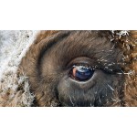 Не прощайтесь… Говорю я вам: «До скорой встречи!»