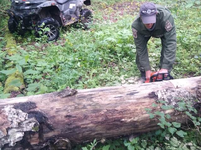 Расчистка постоянного маршрутного учёта от ветровальных деревьев и буреломов, а также проведение биотехнических мероприятий - пополнение солонцов солью.