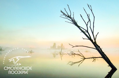 Июньский рассвет. Фото: Г. Дубино