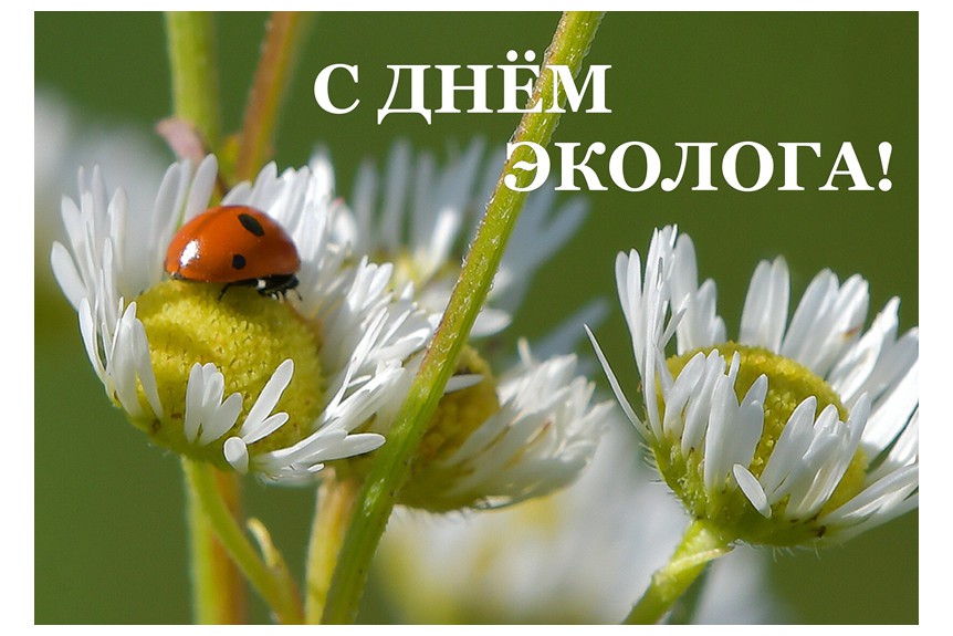 5 июня - Всемирный день охраны окружающей среды и День эколога.
