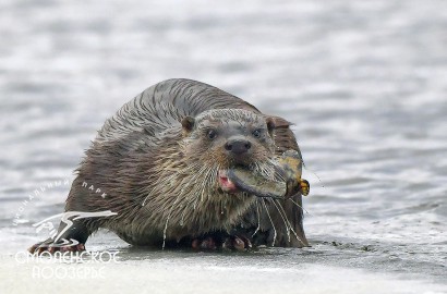 Январь 2022