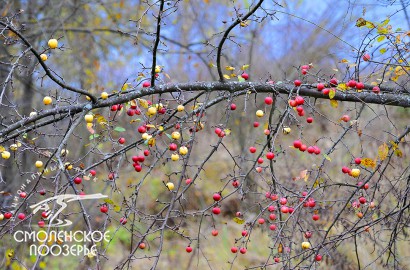 Photo 2245
