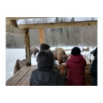 Первый тур «На встречу с лесными великанами»