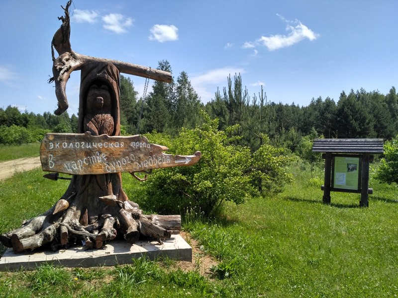 В царстве бурого медведя