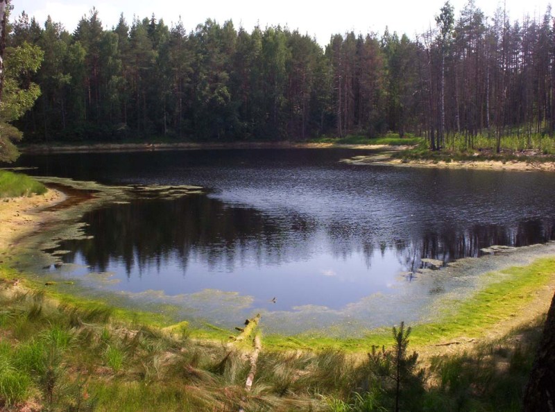 Вода в озерах Смоленского Поозерья остывает