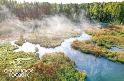 Июнь. Фото: Г. Дубино